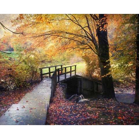 Foot Bridge Gold Ornate Wood Framed Art Print with Double Matting by Rivera, John