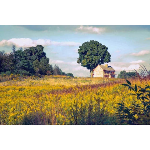 House on a Hill Black Modern Wood Framed Art Print with Double Matting by Rivera, John