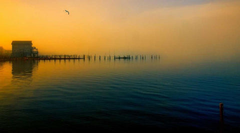 Morning Comes on The Bay White Modern Wood Framed Art Print with Double Matting by Rivera, John