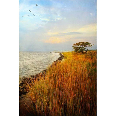 Morning Has Broken Gold Ornate Wood Framed Art Print with Double Matting by Rivera, John