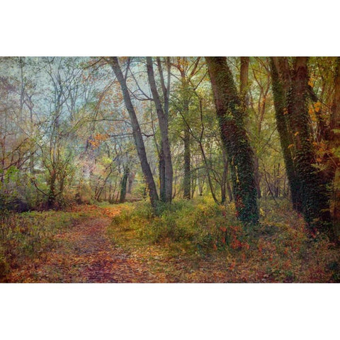Poetic Season White Modern Wood Framed Art Print by Rivera, John