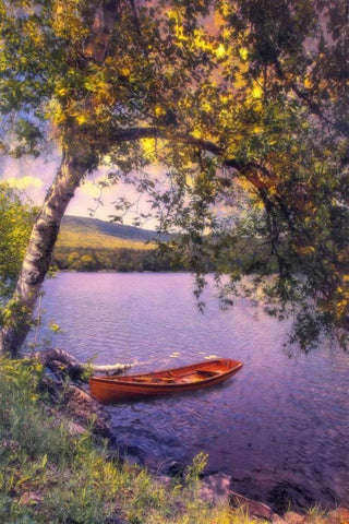 Summer Days White Modern Wood Framed Art Print with Double Matting by Rivera, John