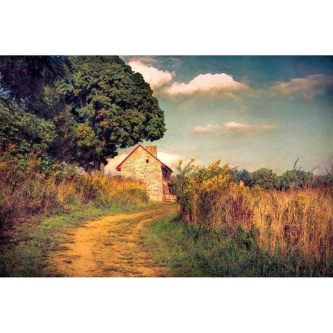 Webb Farm House Black Modern Wood Framed Art Print by Rivera, John