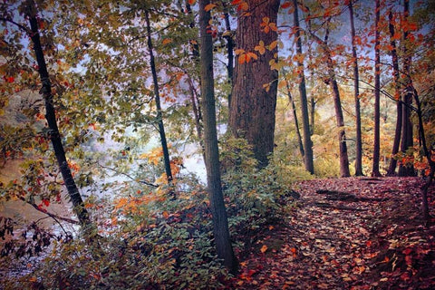 Season of Colors Black Ornate Wood Framed Art Print with Double Matting by Rivera, John