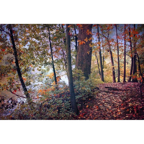 Season of Colors Gold Ornate Wood Framed Art Print with Double Matting by Rivera, John