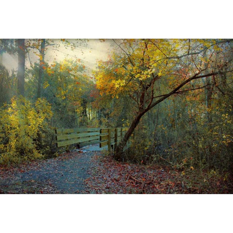 Good Morning Black Modern Wood Framed Art Print with Double Matting by Rivera, John