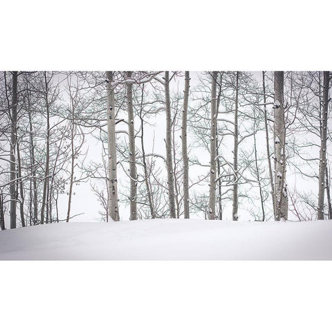 Behind Cloister Doors White Modern Wood Framed Art Print by Rogers, Eunika