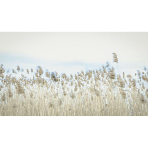 Weaving Through Earth and Sky Black Modern Wood Framed Art Print with Double Matting by Rogers, Eunika