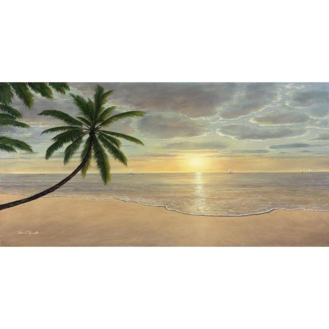 Beach Bliss Black Modern Wood Framed Art Print with Double Matting by Romanello, Diane