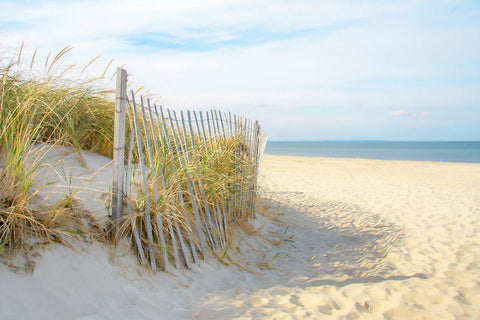 Sandy Neck White Modern Wood Framed Art Print with Double Matting by Ryan, Brooke T.