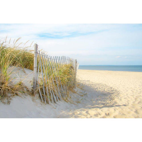 Sandy Neck Black Modern Wood Framed Art Print by Ryan, Brooke T.