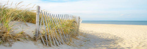 Sandy Neck (panorama) White Modern Wood Framed Art Print with Double Matting by Ryan, Brooke T.