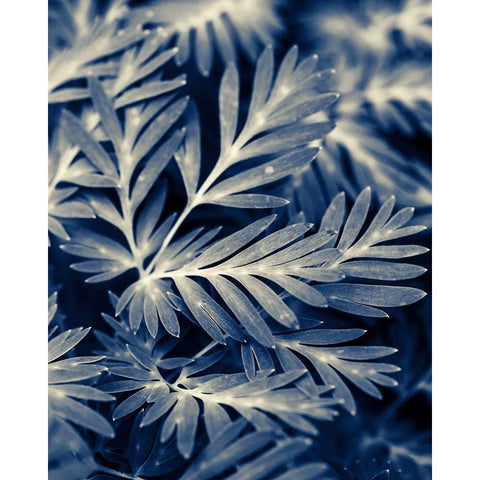 Navy Blue Leaves Gold Ornate Wood Framed Art Print with Double Matting by Ryan, Brooke T.