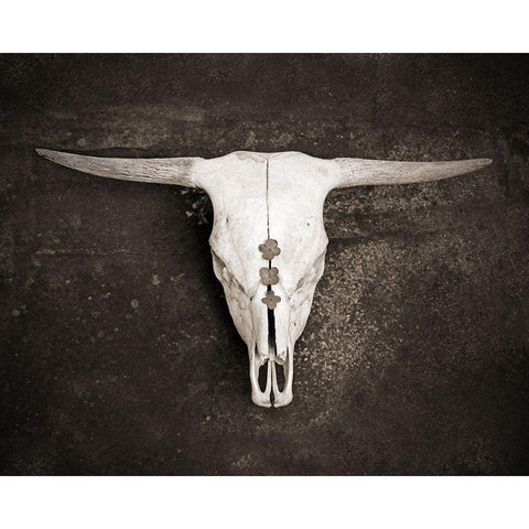 Sepia Cattle Skull White Modern Wood Framed Art Print by Ryan, Brooke T.