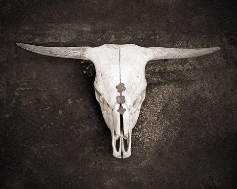 Sepia Cattle Skull Black Ornate Wood Framed Art Print with Double Matting by Ryan, Brooke T.