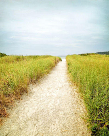 Beach Trail White Modern Wood Framed Art Print with Double Matting by Ryan, Brooke T.