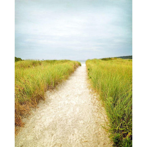 Beach Trail Black Modern Wood Framed Art Print with Double Matting by Ryan, Brooke T.