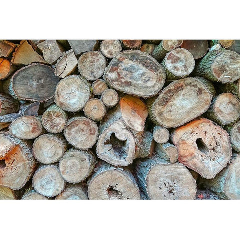 Woodpile White Modern Wood Framed Art Print by Ryan, Brooke T.