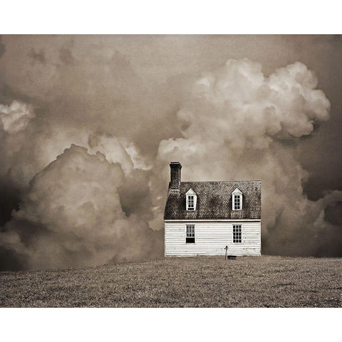 Lone House in Brown Gold Ornate Wood Framed Art Print with Double Matting by Ryan, Brooke T.