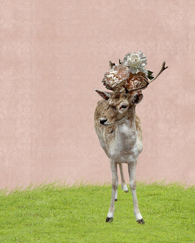 Buck on Pink Black Ornate Wood Framed Art Print with Double Matting by Ryan, Brooke T.