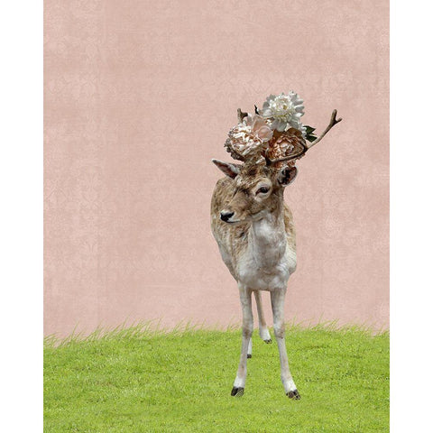 Buck on Pink Black Modern Wood Framed Art Print by Ryan, Brooke T.