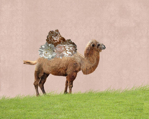Camel on Pink White Modern Wood Framed Art Print with Double Matting by Ryan, Brooke T.