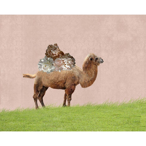 Camel on Pink Black Modern Wood Framed Art Print by Ryan, Brooke T.
