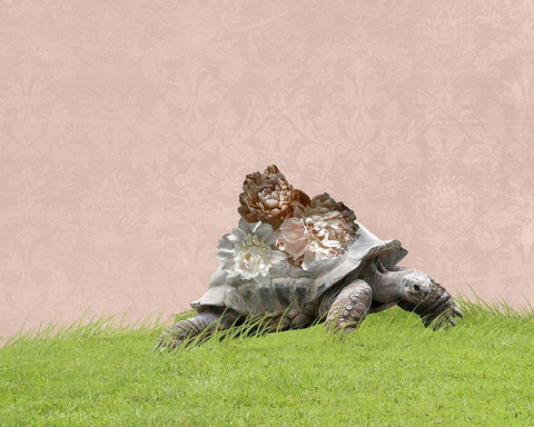 Tortoise on Pink Black Ornate Wood Framed Art Print with Double Matting by Ryan, Brooke T.