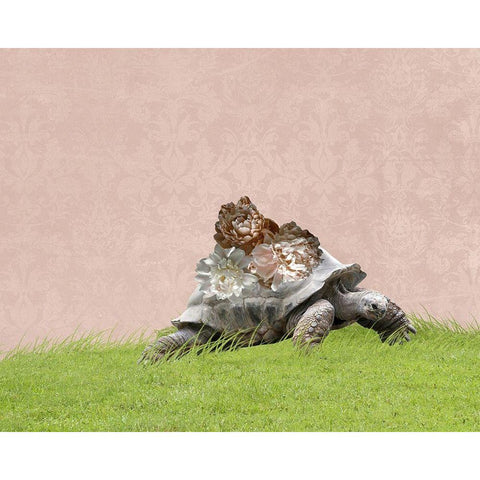 Tortoise on Pink Black Modern Wood Framed Art Print with Double Matting by Ryan, Brooke T.