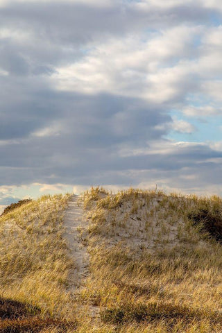 Dunes Trail Black Ornate Wood Framed Art Print with Double Matting by Ryan, Brooke T.