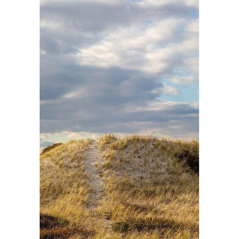 Dunes Trail Black Modern Wood Framed Art Print by Ryan, Brooke T.