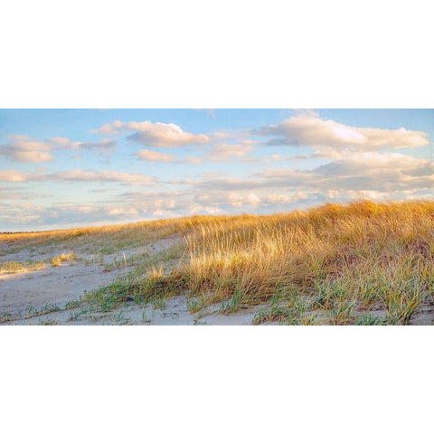 Grassy Dunes Panorama Gold Ornate Wood Framed Art Print with Double Matting by Ryan, Brooke T.