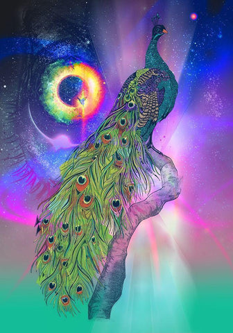 Cosmic Peacock White Modern Wood Framed Art Print with Double Matting by Roberts, Karin