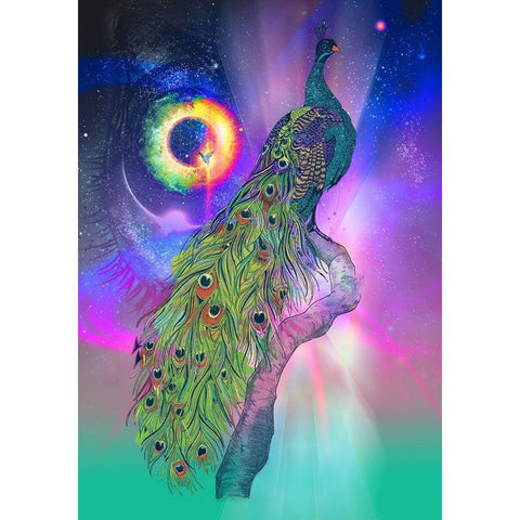 Cosmic Peacock Black Modern Wood Framed Art Print by Roberts, Karin