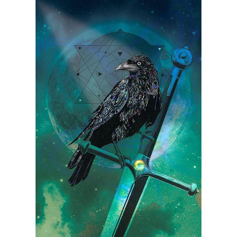 Cosmic Raven Black Modern Wood Framed Art Print with Double Matting by Roberts, Karin