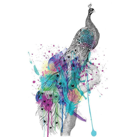 Peacock Black Modern Wood Framed Art Print by Roberts, Karin