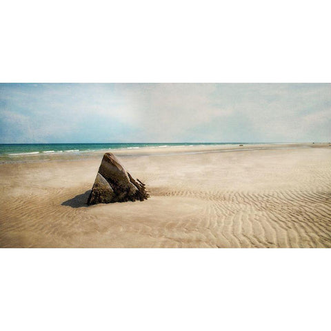 Beach Boulder Black Modern Wood Framed Art Print with Double Matting by Ryan, Brooke T.