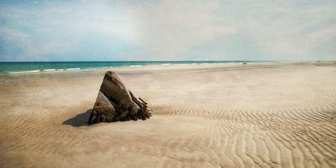 Beach Boulder Black Ornate Wood Framed Art Print with Double Matting by Ryan, Brooke T.