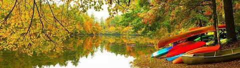 Autumn Fleet White Modern Wood Framed Art Print with Double Matting by Reed, Jack