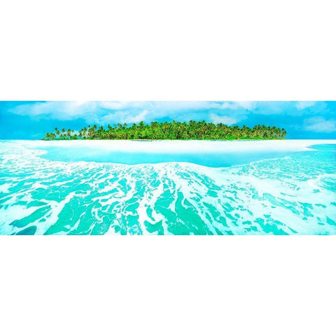 Castaway Black Modern Wood Framed Art Print by Reed, Jack