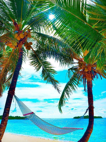 Coconut Sun White Modern Wood Framed Art Print with Double Matting by Reed, Jack