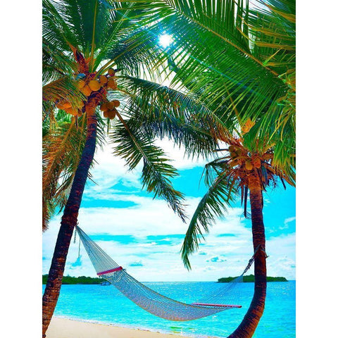 Coconut Sun Black Modern Wood Framed Art Print by Reed, Jack