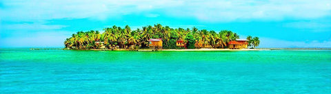 Hideaway Black Ornate Wood Framed Art Print with Double Matting by Reed, Jack