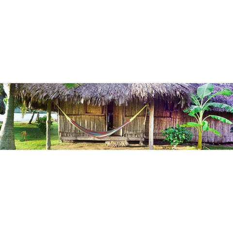 One Fine Backyard White Modern Wood Framed Art Print by Reed, Jack