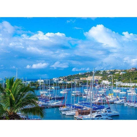Oyster Pond Bay, St. Maarten Black Modern Wood Framed Art Print by Reed, Jack
