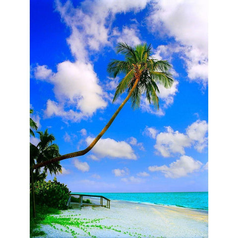 Sanibel Island Gold Ornate Wood Framed Art Print with Double Matting by Reed, Jack