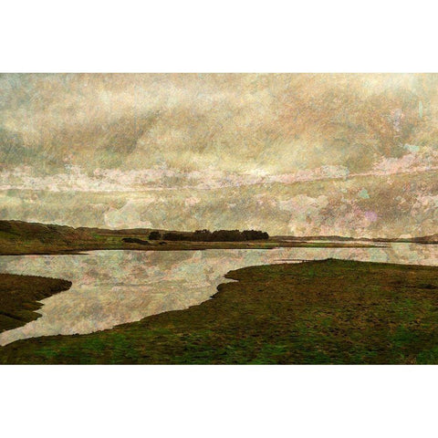 Forvie Reserve Black Modern Wood Framed Art Print by Ruest, Liz