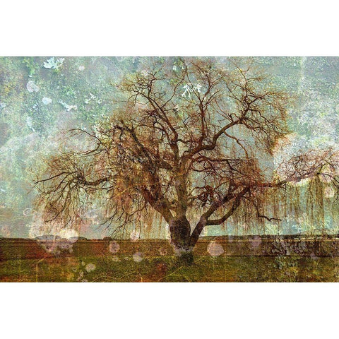 Roundabout Black Modern Wood Framed Art Print with Double Matting by Ruest, Liz