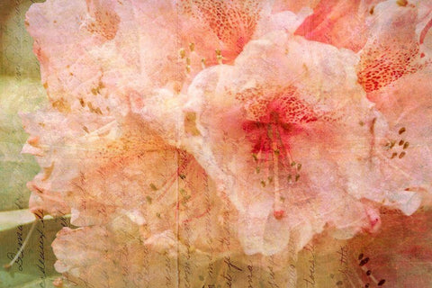 Kindness White Modern Wood Framed Art Print with Double Matting by Ruest, Liz