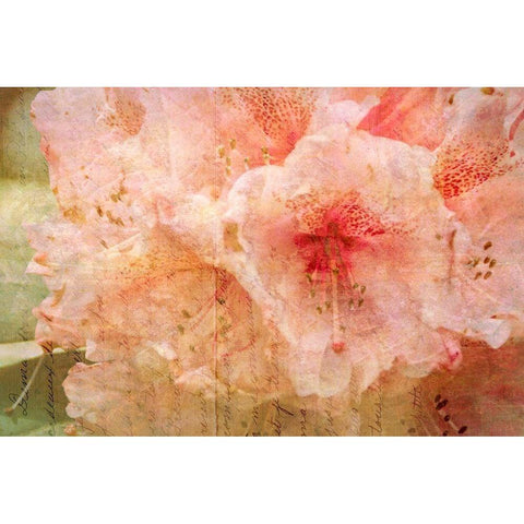 Kindness Black Modern Wood Framed Art Print by Ruest, Liz